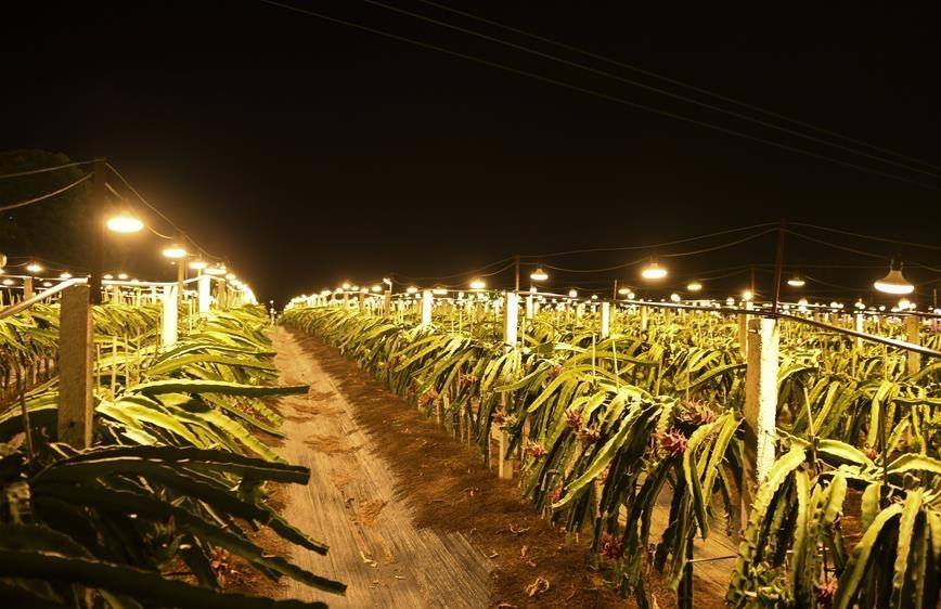 A picture containing night, farm machineDescription automatically generated